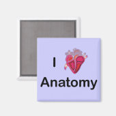 Ich Liebe Anatomie mit menschlichem Herzen! Magnet (Vorderseite/Rückseite)