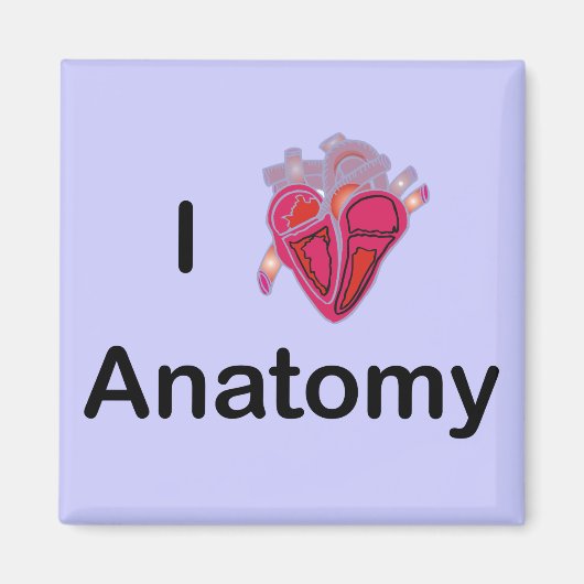 Ich Liebe Anatomie mit menschlichem Herzen! Magnet (Vorne)