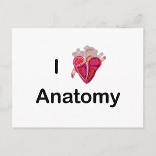 Ich Liebe Anatomie mit menschlichem Herzen! Postkarte