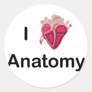 Ich Liebe Anatomie mit menschlichem Herzen! Runder Aufkleber