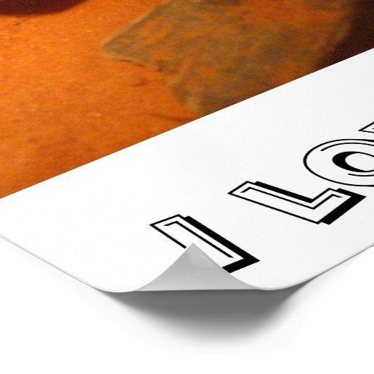 Ich Liebe Bärtige Drachen! Poster (Ecke)