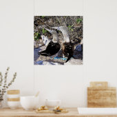 Ich Liebe Boobies! Poster (Küche)