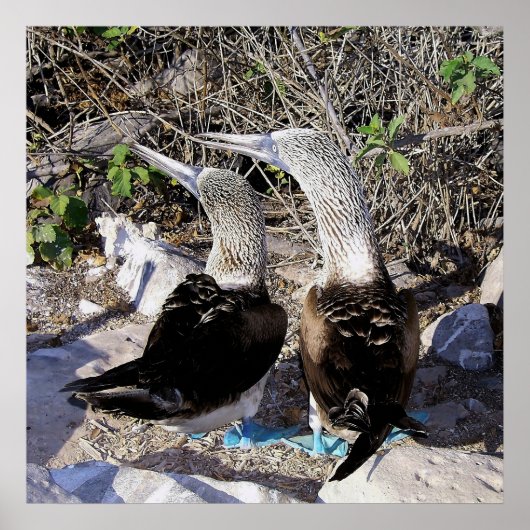 Ich Liebe Boobies! Poster (Vorne)