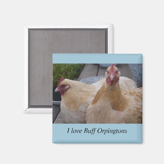 Ich Liebe... Buff Orpingtons Hühnermagnet Magnet (Vorderseite/Rückseite)