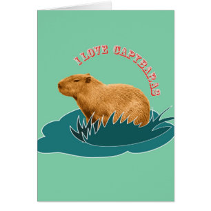 Ich liebe Capybaras