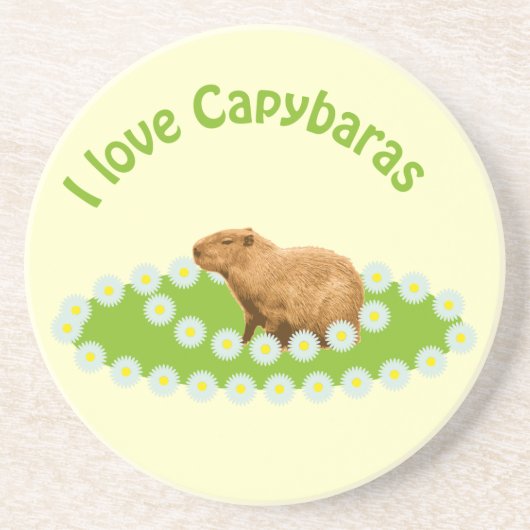 Ich liebe Capybaras Achterbahnen Untersetzer (Vorne)