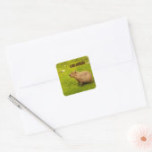 Ich liebe Capybaras Aufkleber (Umschlag)