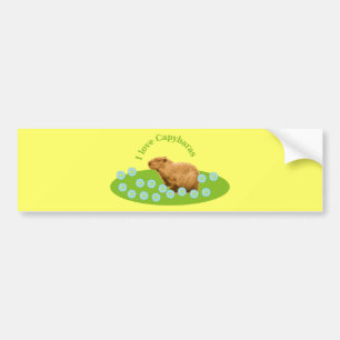 Ich liebe Capybaras Autoaufkleber
