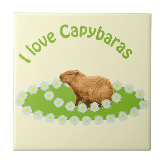 Ich liebe Capybaras Fliese (Vorderseite)