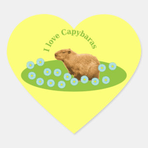 Ich liebe Capybaras Herz-Aufkleber
