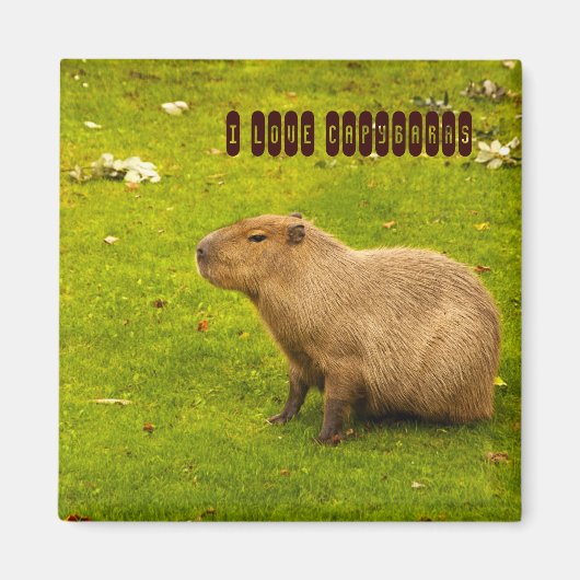 Ich liebe Capybaras Magnet (Vorne)