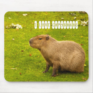 Ich liebe Capybaras-Mauspad Mousepad