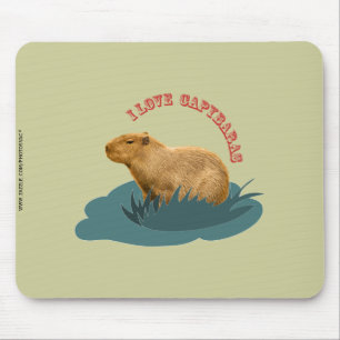 Ich liebe Capybaras Mousepad