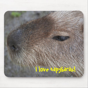 Ich liebe Capybaras Mousepad