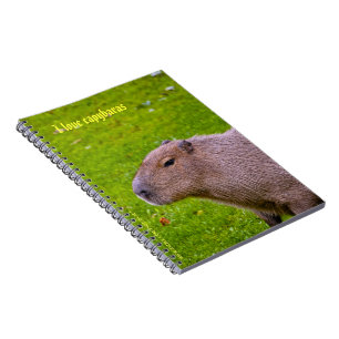 Ich liebe Capybaras Notizbuch Notizblock