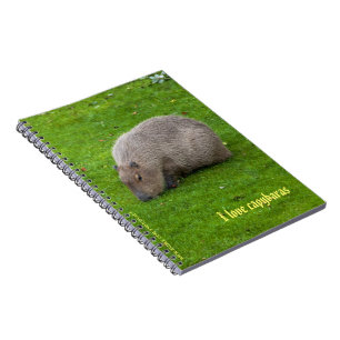 Ich liebe Capybaras Notizbuch Notizblock