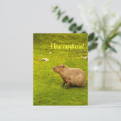 Ich liebe Capybaras Postkarte (Stehend Vorderseite)