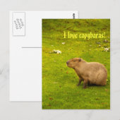 Ich liebe Capybaras Postkarte (Vorne/Hinten)