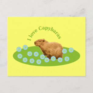 Ich liebe Capybaras Postkarte