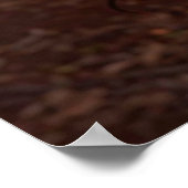 ICH LIEBE COCOA POSTER (Ecke)
