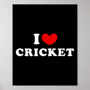 Ich liebe Cricket  Poster