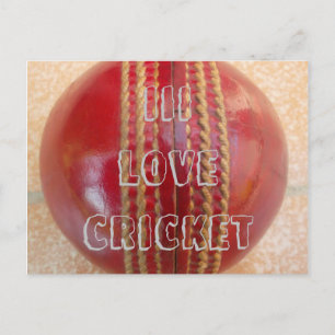 Ich liebe Cricket-Spiel Customize Produkt Postkart Postkarte