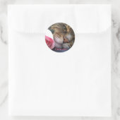 Ich Liebe, dass du Katzenaufkleber hast Runder Aufkleber (Tasche)