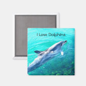Ich liebe Delfine Magnet (Vorderseite/Rückseite)