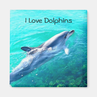 Ich liebe Delfine Magnet