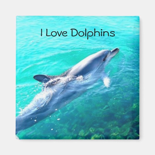 Ich liebe Delfine Magnet (Vorne)