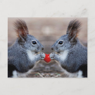 Ich Liebe dich auch Postkarte