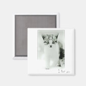 Ich liebe dich Kitten Magnet (Vorderseite/Rückseite)