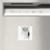 Ich liebe dich Kitten Magnet (In Situ (Geschirrspüler))