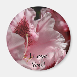 Ich liebe Dich! Magnet gibt rosa Rhododendron Rhod