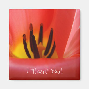 Ich "liebe" Dich! Magnet ROT Tulpen Blumen
