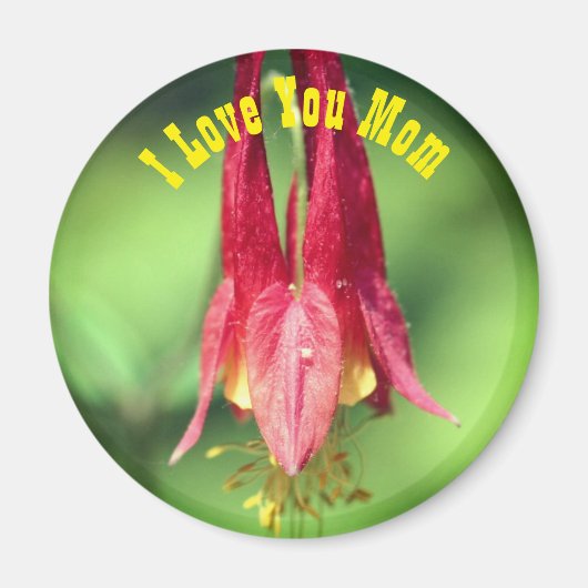 Ich liebe dich Mama Columbine Blume Magnet (Vorne)