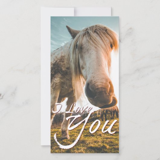 Ich Liebe dich mit dem Aussehen von Pferd (Vorderseite)