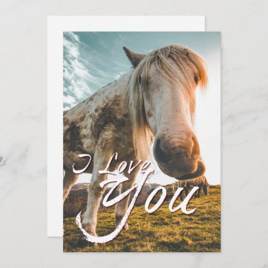 Ich Liebe dich mit dem Aussehen von Pferd (Vorne/Hinten)