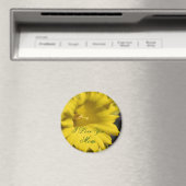 Ich liebe dich, Mutter, Narzissenblume Magnet (In Situ (Geschirrspüler))