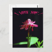 Ich Liebe dich Postkarte (Vorne/Hinten)