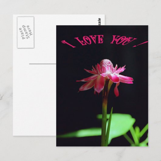 Ich Liebe dich Postkarte (Vorne/Hinten)