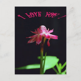 Ich Liebe dich Postkarte