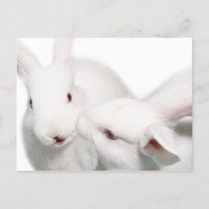 Ich Liebe dich Postkarte