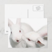 Ich Liebe dich Postkarte (Vorne/Hinten)