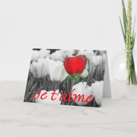 Ich liebe dich Valentine Feiertagskarte (Vorderseite)