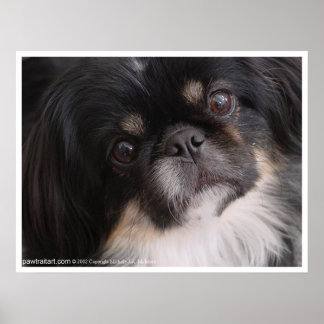 Ich Liebe dich Welpen Poster