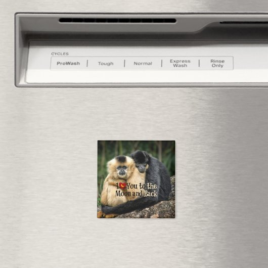 Ich Liebe dich zum Mond und zurück Magnet (In Situ (Geschirrspüler))