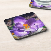 Ich Liebe die lila. #crocus #spring #Blume Untersetzer (Linke Seite)