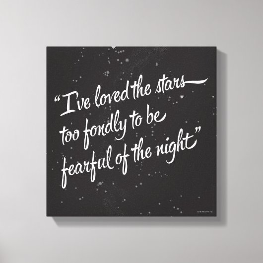 Ich liebe die Sterne Leinwanddruck (Vorderseite)