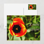 Ich Liebe dir Postkarte (Vorne/Hinten)